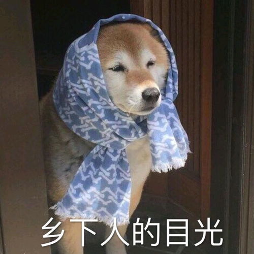 学校统一被单,都开始流行土味审美了吗哈哈哈决不认输
