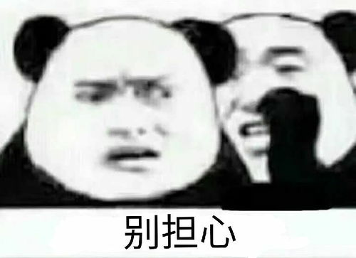 沙雕表情包高考