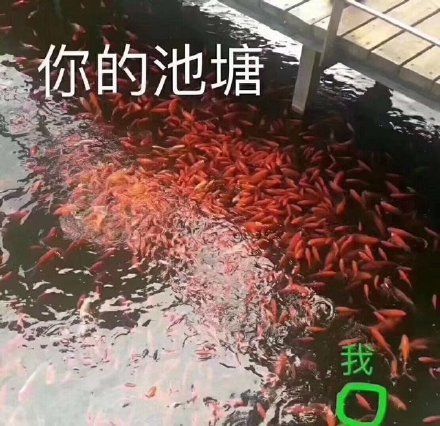 搞笑表情包图片问君能有多好笑,快乐你知不知道
