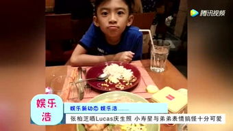 张柏芝晒lucas庆生照,小寿星与弟弟表情搞怪十分可爱