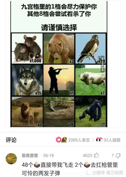 神回复大家能帮我想一下吗,我只知道第四个是海绵宝宝