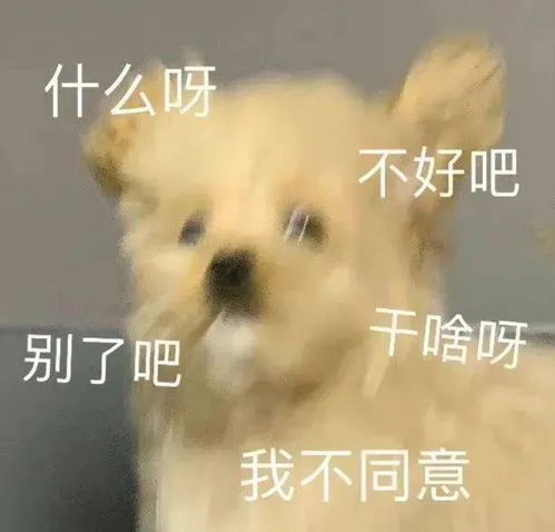 四六级一共有几次考试机会大学生都考了几次才过级