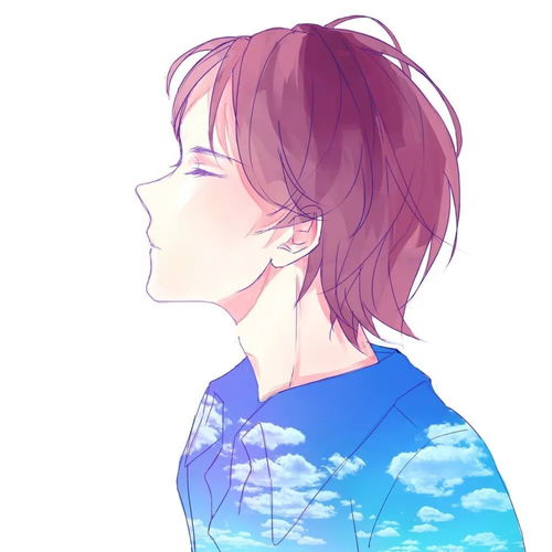 学不会低头示弱的星座