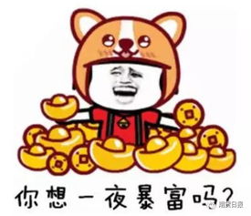 鞋子为什么这样火