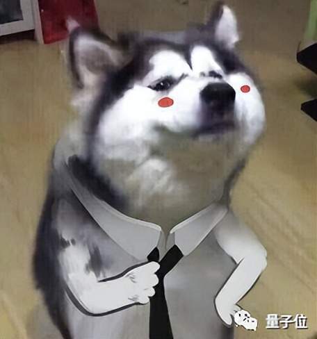 哈哈哈表情包搞笑图片狗狗