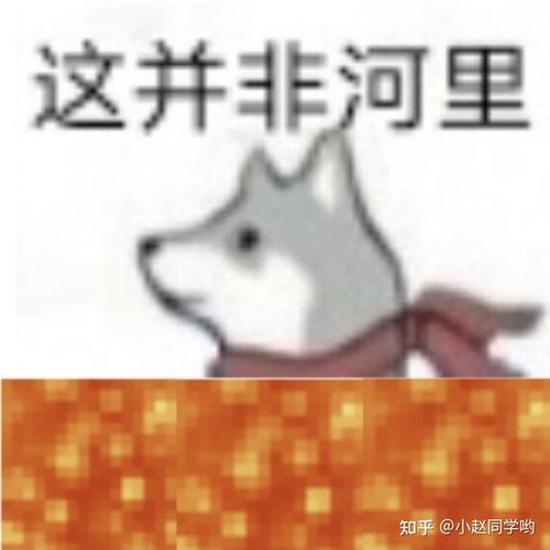 谐音梗表情包也太好笑了吧哈哈哈哈哈快来看