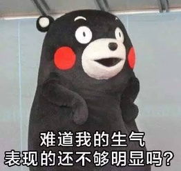 微信好玩的聊天表情包6