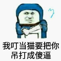 斗图专用表情包暑假新一波好玩图片