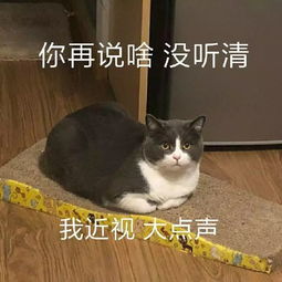 表情包仙女下凡,命犯桃花