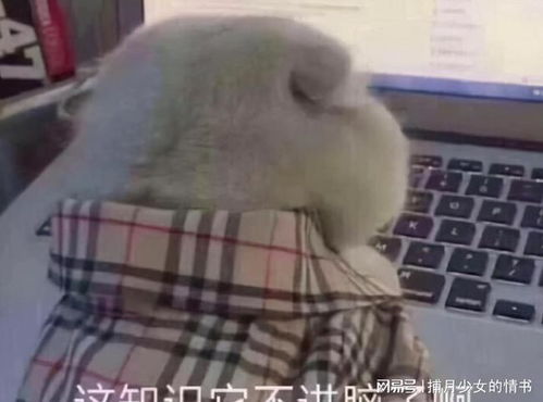 大学生怀孕现象增多,背后的原因,不止是个人需要那么简单