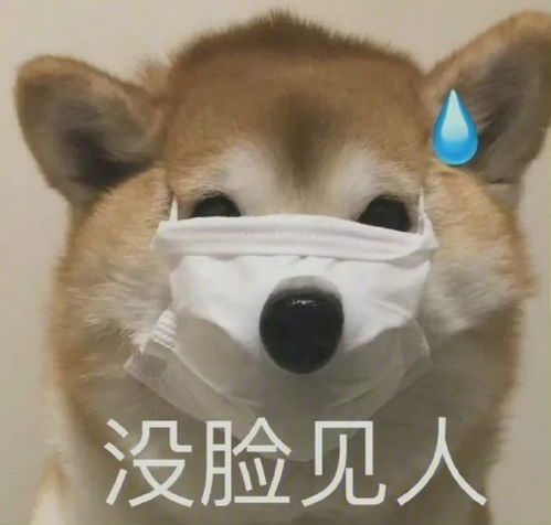 搞笑沙雕表情包图片搞笑段子