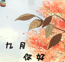 九月好运祝福动态微信表情图