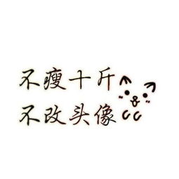 不减10斤不换头像微信头像不瘦二十斤不换头像纯白励志文字图片
