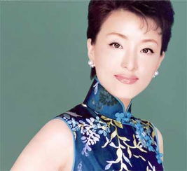 杨澜等共和国60年最美的十二个女人