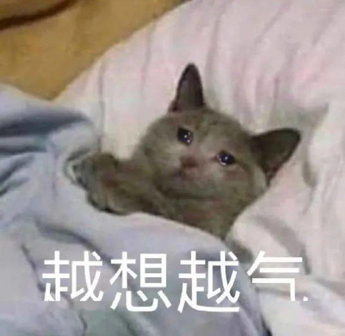 100个沙雕有趣的搞笑表情包