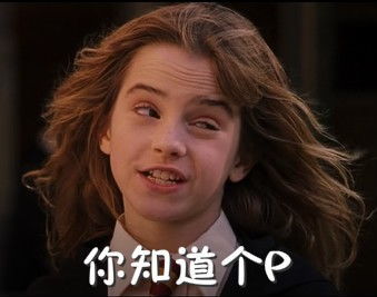 当哈利波特众人看到自己的表情包