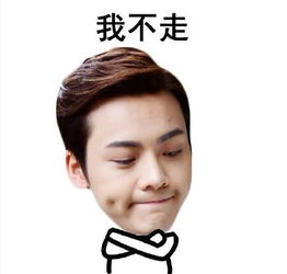 明星版搞笑表情包