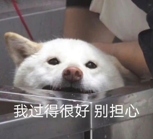 考前一个月,提分110上岸必看靠谱吗