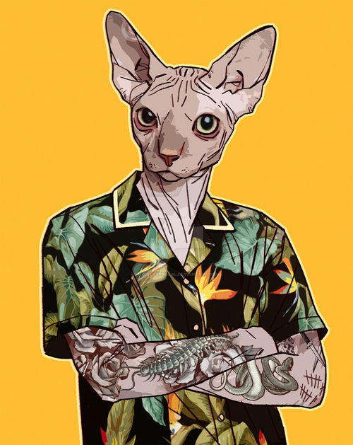 请问这个无毛猫动画形象叫什么