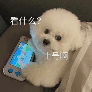 ins表情包推荐