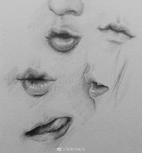 线稿黑白手绘素描图片