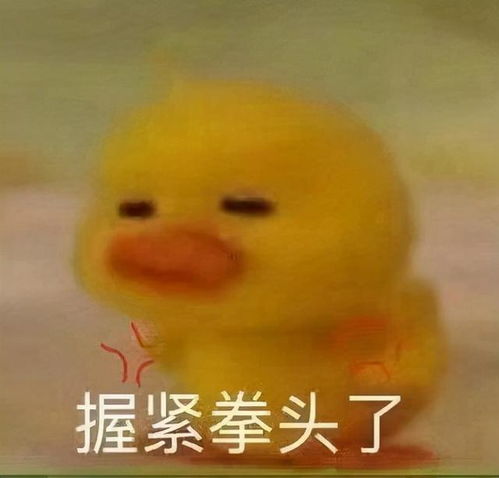 鸭鸭表情包先走一步