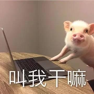 段子手神回复别看有钱人嚣张跋扈,其实他们也有道歉的时候