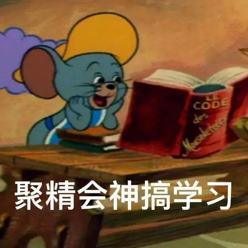 考研太苦,上岸太难送你表情包防身用