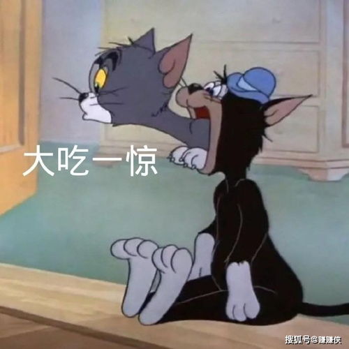 搞笑表情包图片委屈的时候