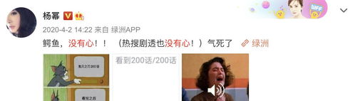 杨紫董子健好沙雕,自制表情包比心太好笑肖战杨幂追剧反应绝了