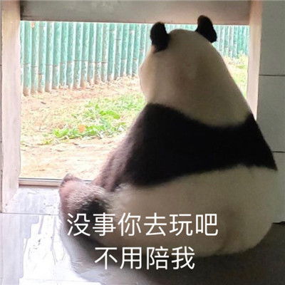 不会相信你的鬼话让你收获好心情的搞怪表情包