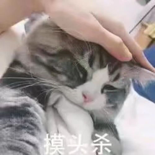 幽默段子笑话家附近有个乞丐经常趴在地上写字,时间久了就熟了