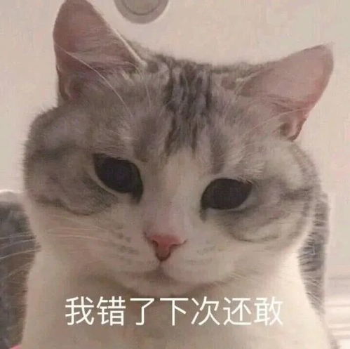 逗你哈哈哈哈哈哈大笑沙雕又搞怪的文案