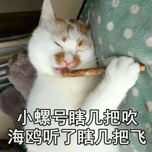 拿走不谢适合朋友圈评论发的50个沙雕表情包