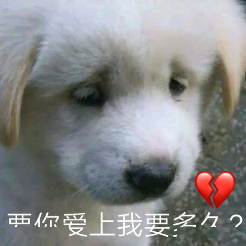 日常沙雕搞笑表情