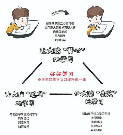 适合612岁少年儿童的学习社交指南助力孩子自主学习提高社交情商