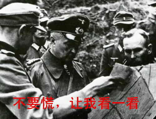 德军表情包第一弹莫德尔元帅