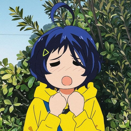 大户爱