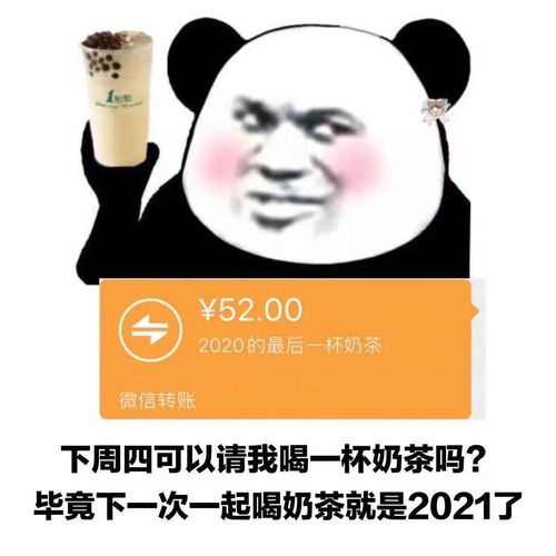再回首,时光不老,我们不散