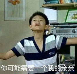 家有儿女表情包大合集,太好玩了