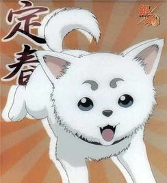 可爱又强大的二次元宠物你想要一只吗