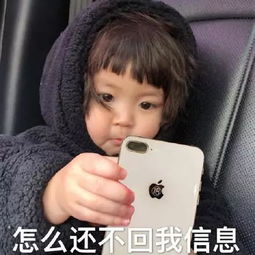 动态搞笑表情包带字罗熙