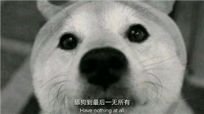 舔狗吃鸡的一天搞笑表情包大全