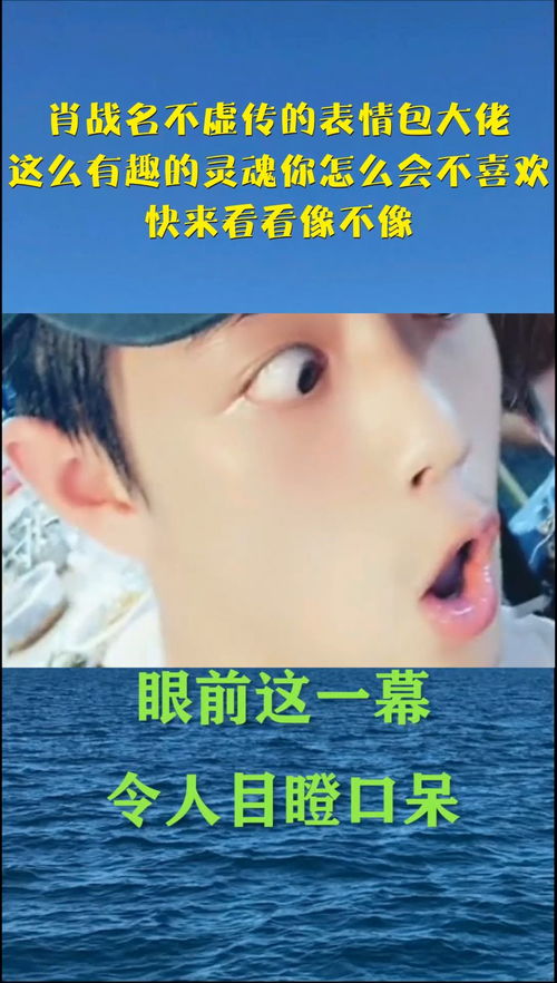 肖战名不虚传的表情包大佬,这么有趣的灵魂你怎么会不喜欢,快来看看像不像