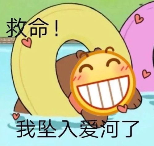 沙雕表情包小猫咪能有什么坏心思呢