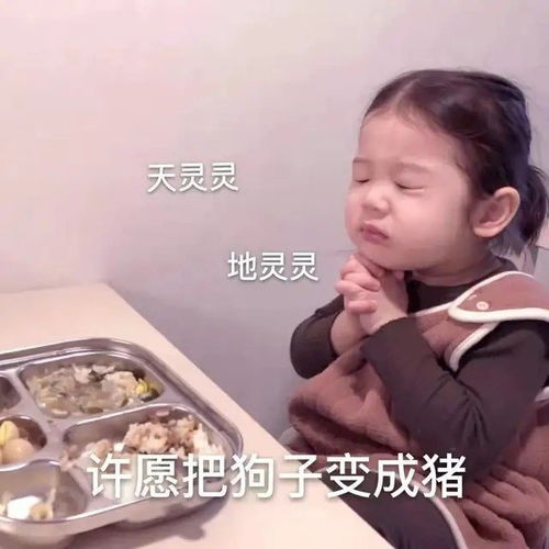 表情包你们那些用沙雕表情包的小仙女们,难道就不是沙雕网友了