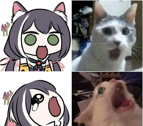 家里有猫多欢乐画师大佬把猫咪和公主连结做了结合,快给我变