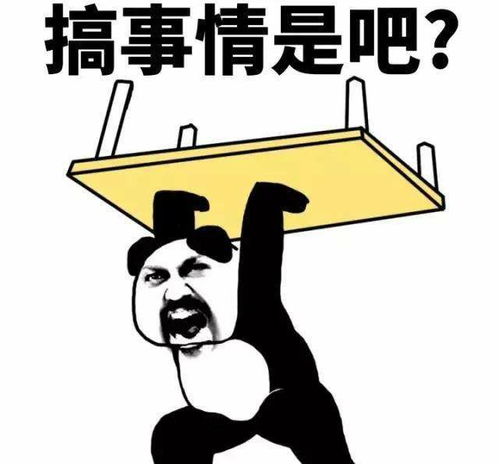 搞笑gif段子不怕沙雕多,就怕沙雕住一窝