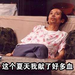 表情包搞笑图片蚊子