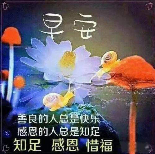 新年祝贺词,冬季早上好问候语幽默,早上好表情美图